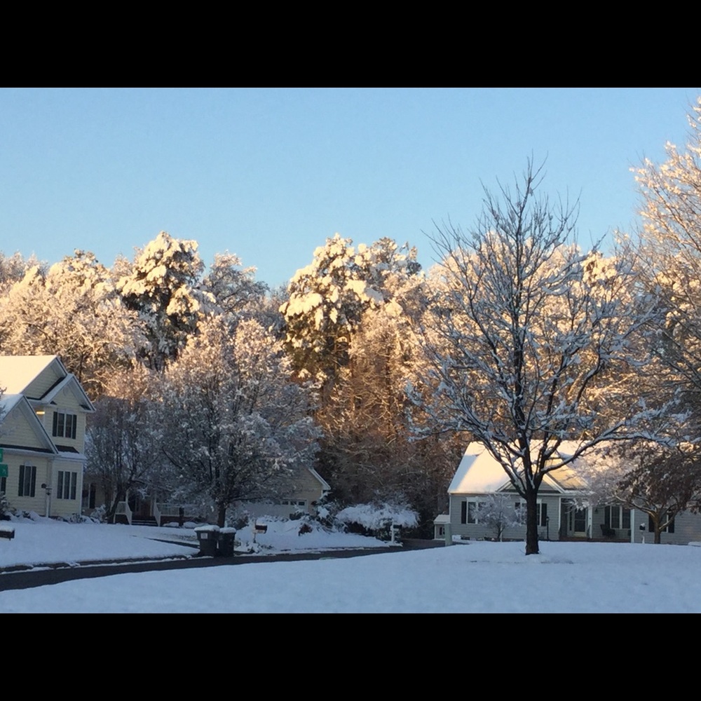 Meet your Posher, Linda